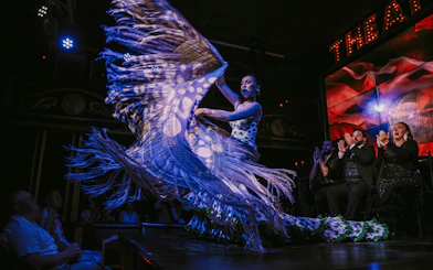 Flamenco dancer performing at Teatro Flamenco Málaga Club with audience clapping.