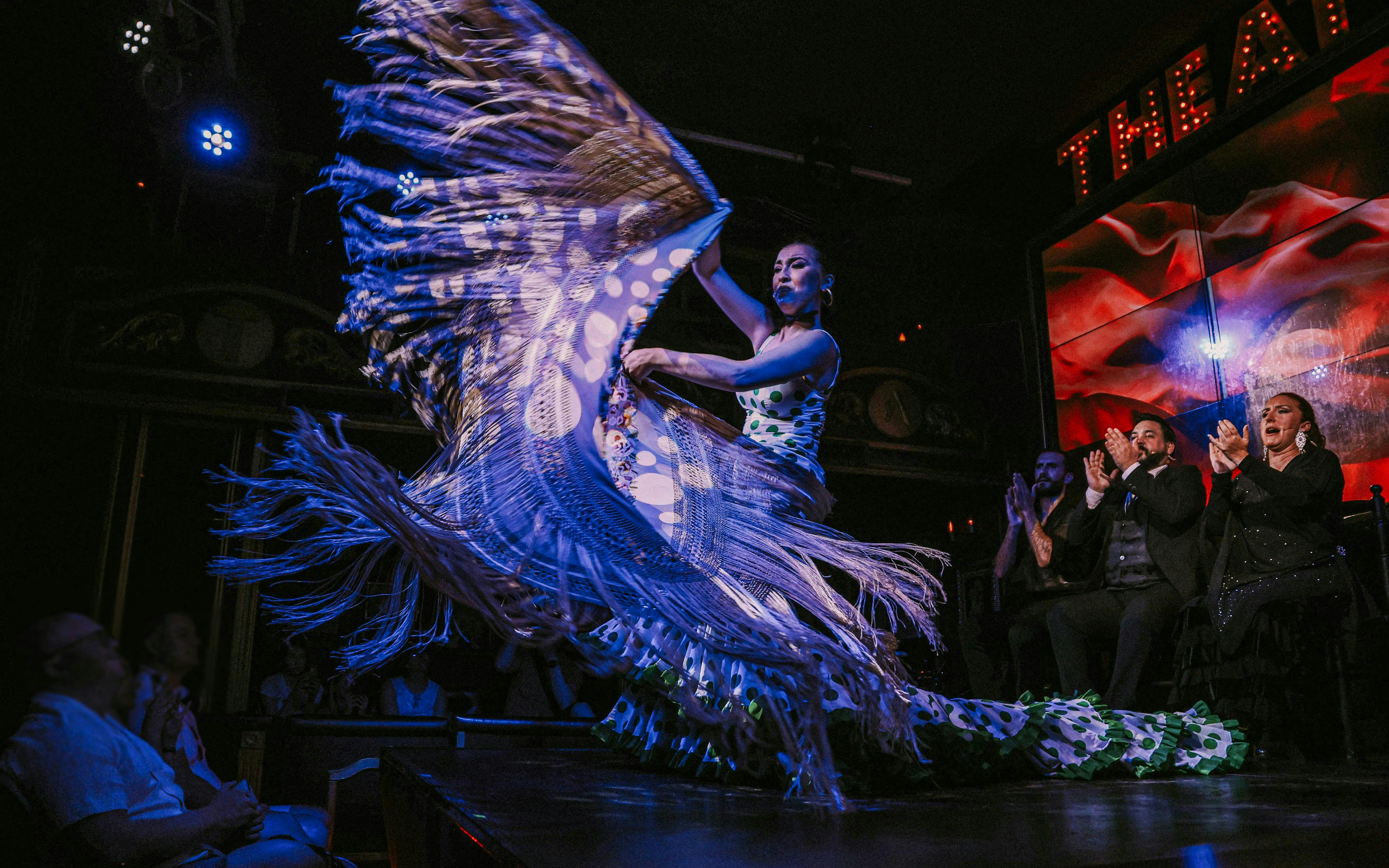 Teatro Flamenco Málaga Club - Essence Flamenco Show
