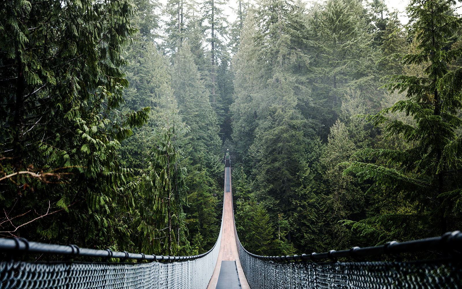 Capilano Suspension Bridge surrounded by dense forest in Vancouver, Canada.