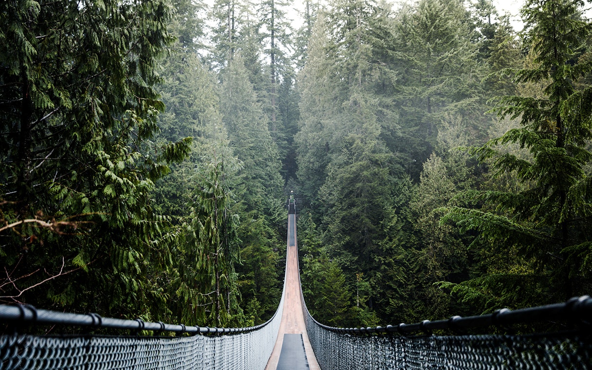 Capilano Suspension Bridge surrounded by dense forest in Vancouver, Canada.