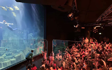 Mermaid performing in Aquarium de Paris tank with audience watching.