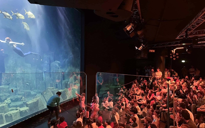 Mermaid performing in Aquarium de Paris tank with audience watching.