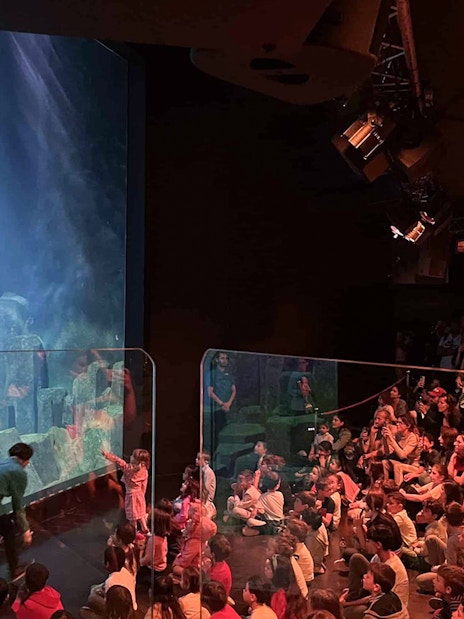 Mermaid performing in Aquarium de Paris tank with audience watching.