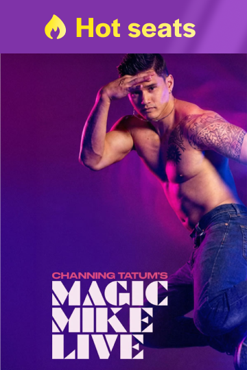Magic Mike Live product image