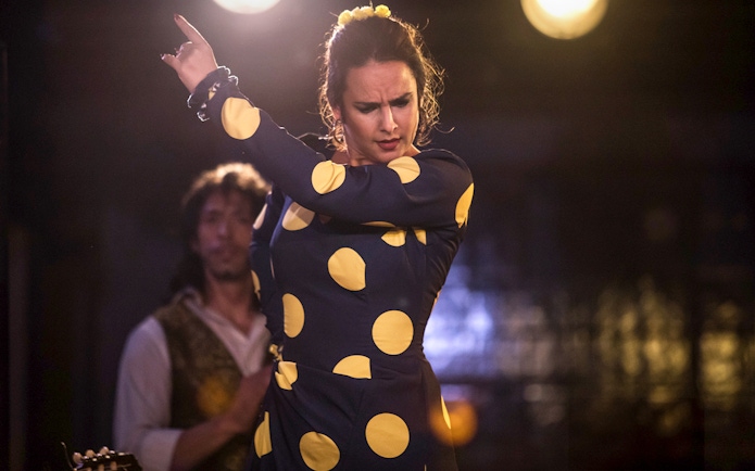 Flamenco dancer performing at Tablao Jardines de Zoraya, Granada.