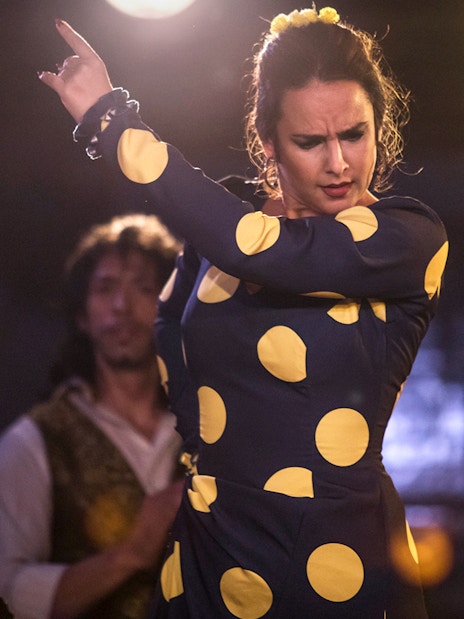 Flamenco dancer performing at Tablao Jardines de Zoraya, Granada.