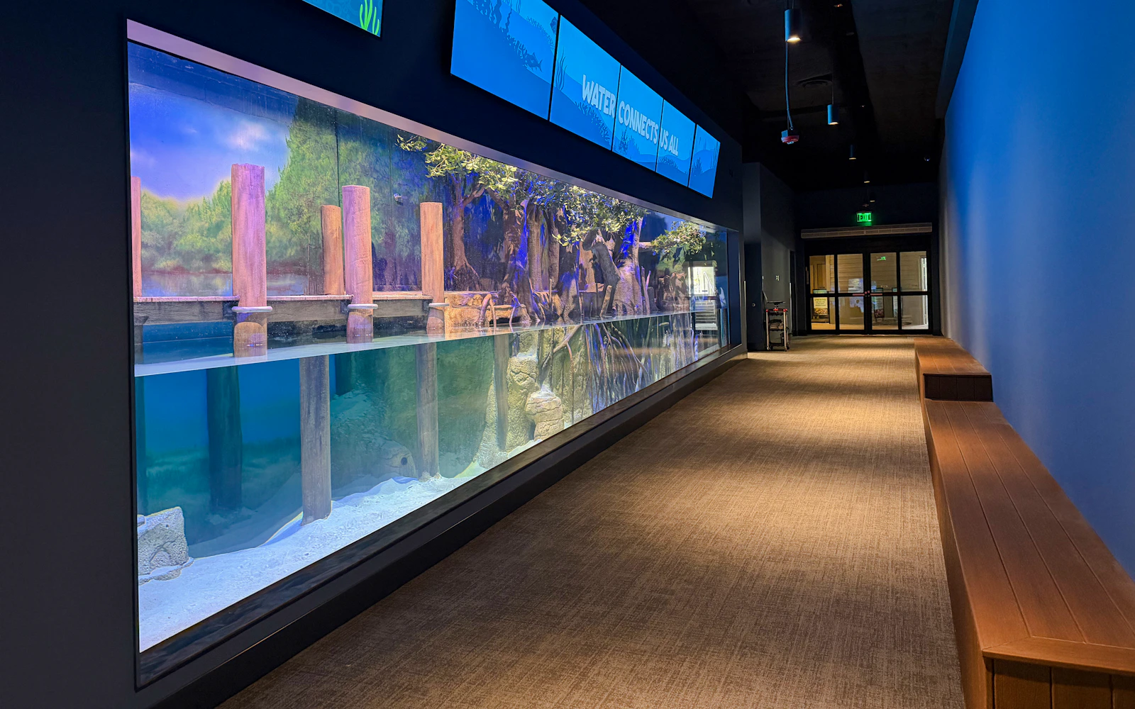 Tampa: ZooTampa & The Florida Aquarium Combo Tickets Image 3