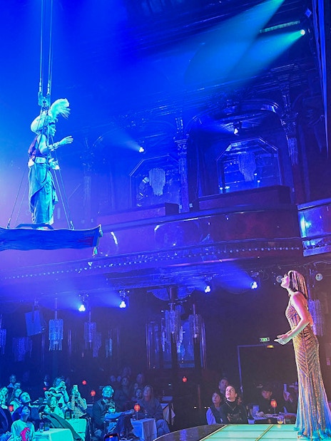 Performer on stage with aerial act at Paris cabaret show, audience watching.