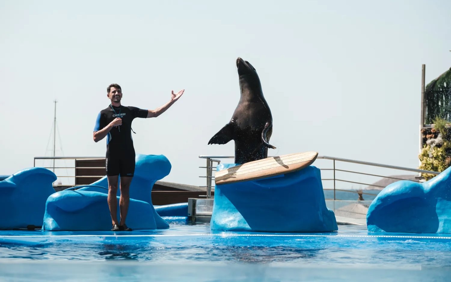 Trainer with sea lion performing at Marineland Mallorca.
