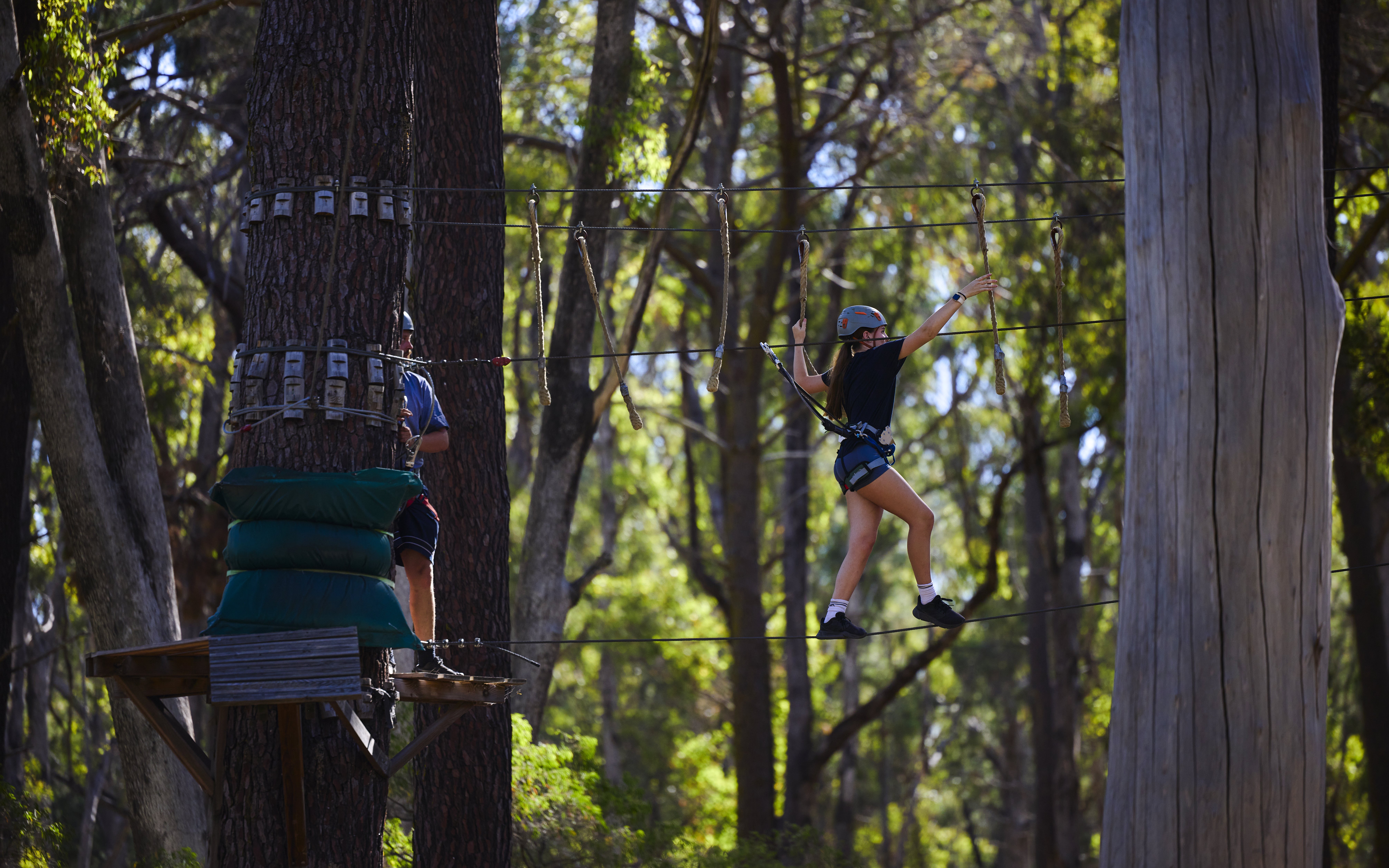 Participant navigating high ropes course in Busselton forest adventure.