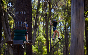Participant navigating high ropes course in Busselton forest adventure.