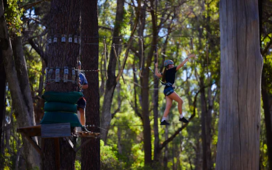 Participant navigating high ropes course in Busselton forest adventure.