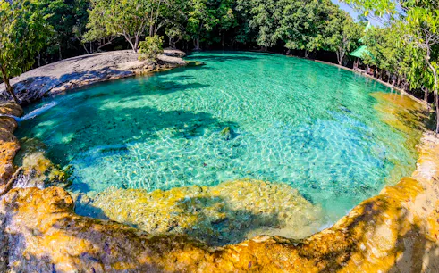 Emerald Pool with clear turquoise water surrounded by lush greenery in Krabi, Thailand.