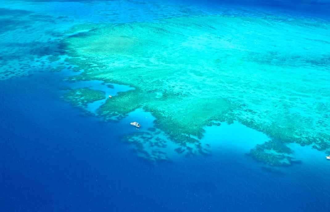 Aerial view of the Great Barrier Reef's vibrant coral formations in clear blue waters.