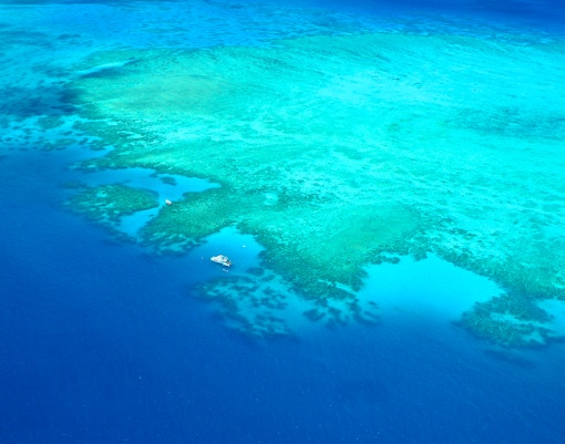 Aerial view of the Great Barrier Reef's vibrant coral formations in clear blue waters.