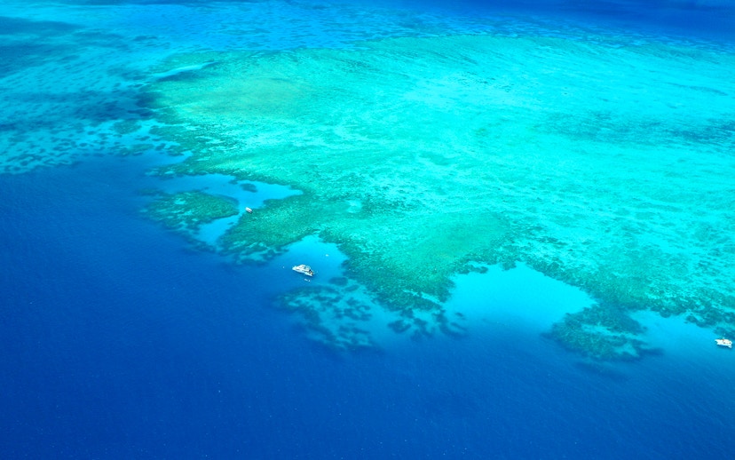 Aerial view of the Great Barrier Reef's vibrant coral formations in clear blue waters.