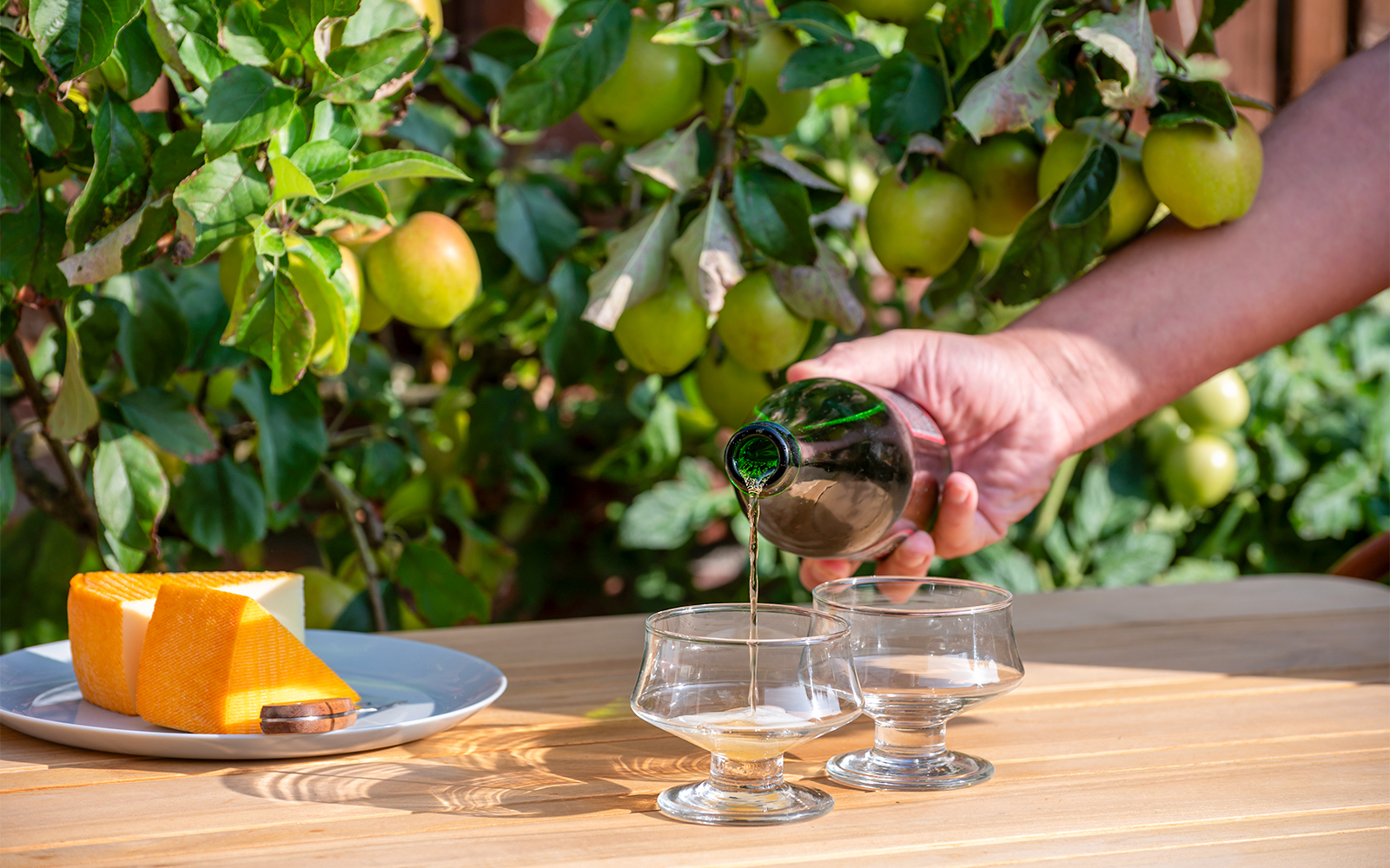 Paris to Normandy day trips