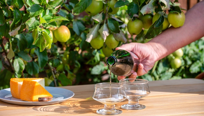 Paris to Normandy day trips