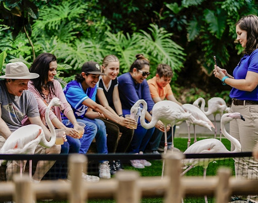 Tourist feeding colorful birds at Madrid Zoo.