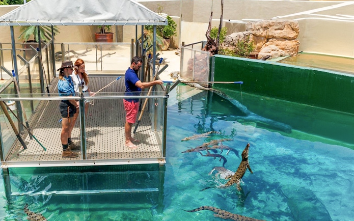 Visitors feeding crocodiles from a platform at Crocosaurus Cove, Darwin.