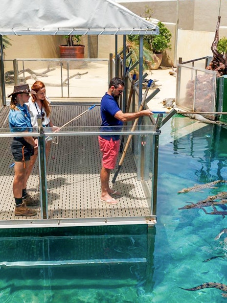 Visitors feeding crocodiles from a platform at Crocosaurus Cove, Darwin.