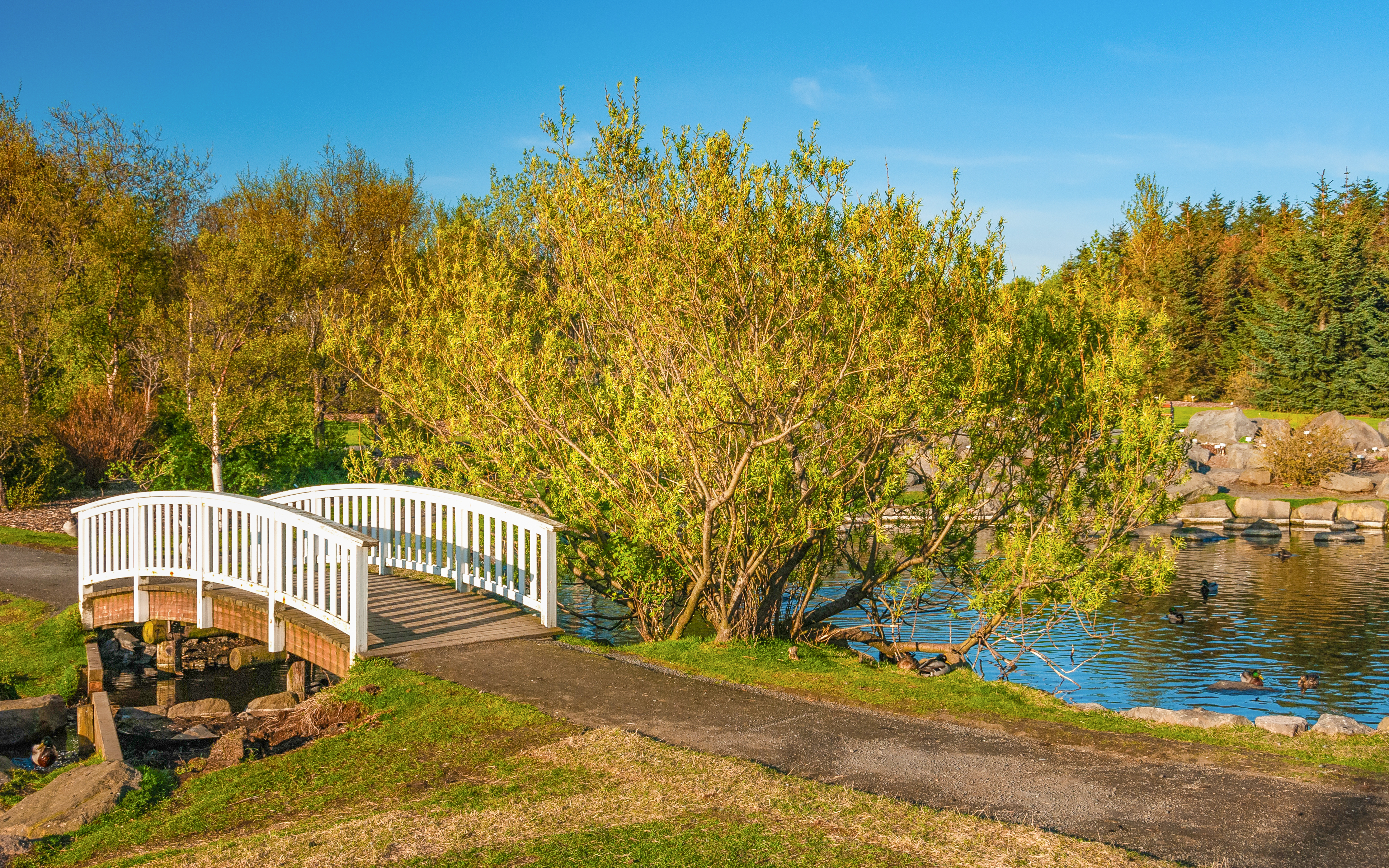 Jardin botanique de Reykjavik