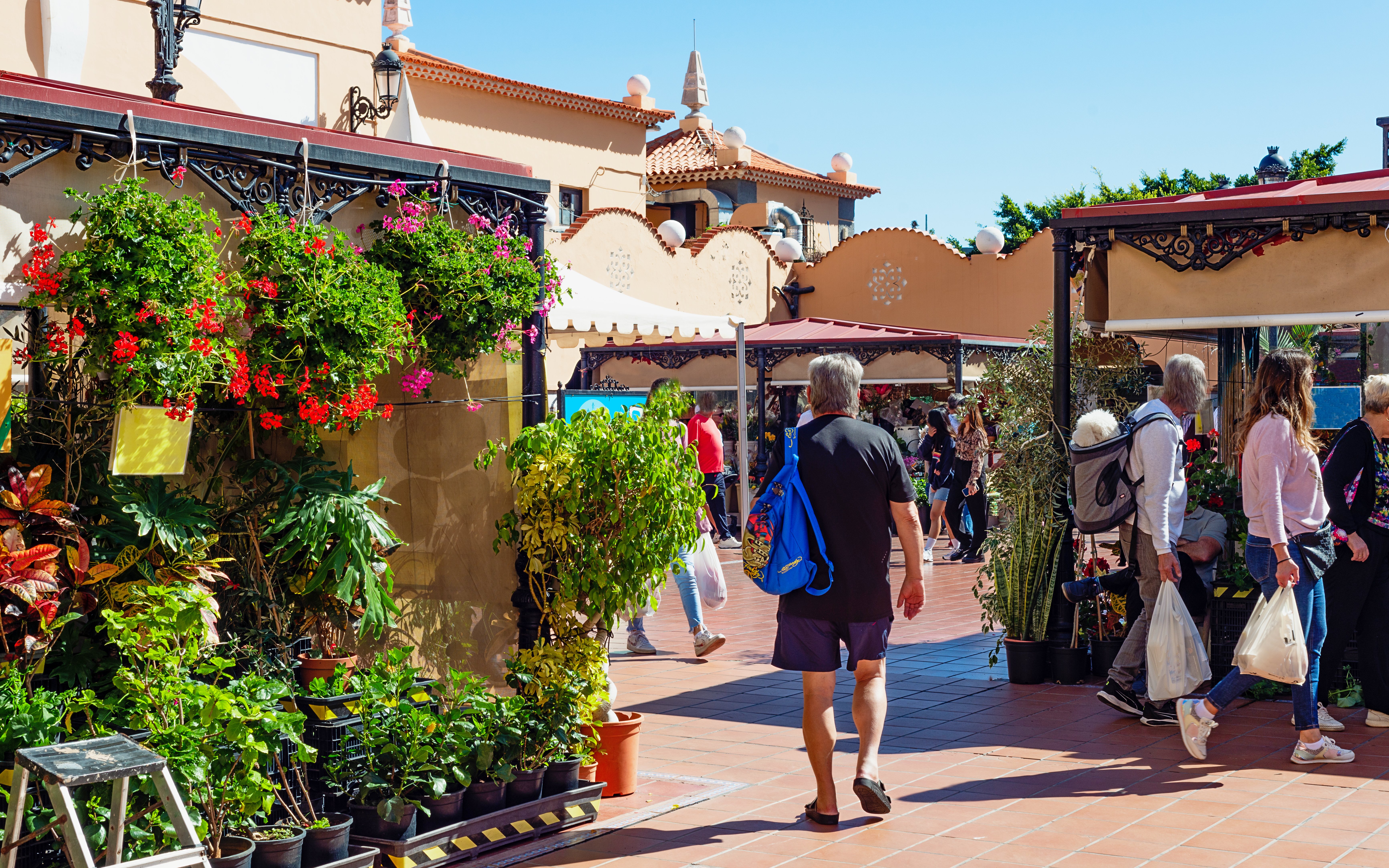 People shopping at a vibrant fruit and vegetable market in Santa Cruz de Tenerife, Canary Islands.
