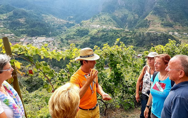 Vineyard tour guide explaining wine process to visitors in Madeira, Portugal.