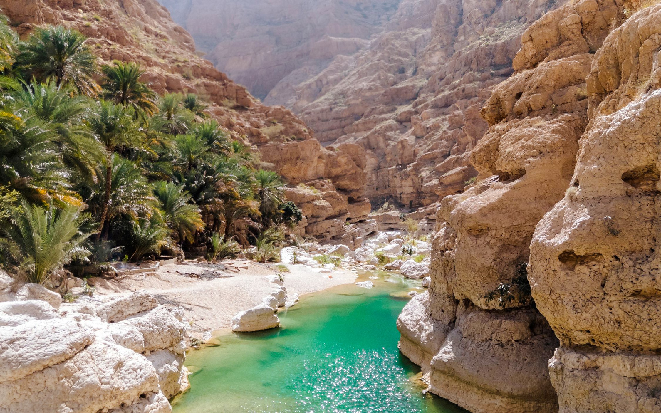 Wadi Shab canyon with turquoise water and palm trees in Oman.