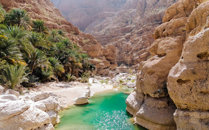 Wadi Shab canyon with turquoise water and palm trees in Oman.