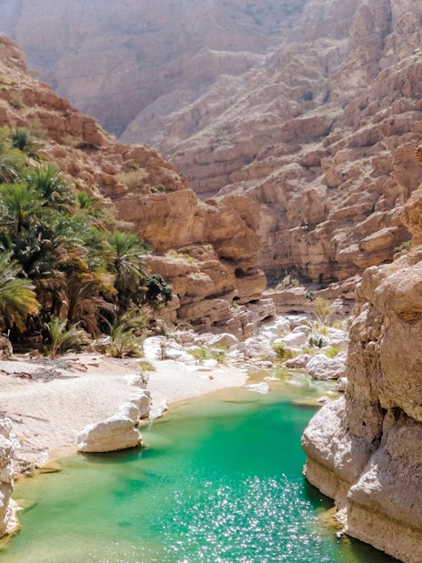 Wadi Shab canyon with turquoise water and palm trees in Oman.