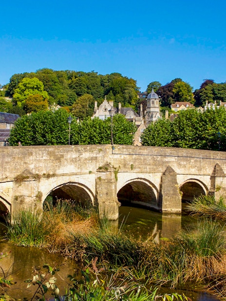 Historic bridge over river in Bath, England, surrounded by greenery and historic buildings.