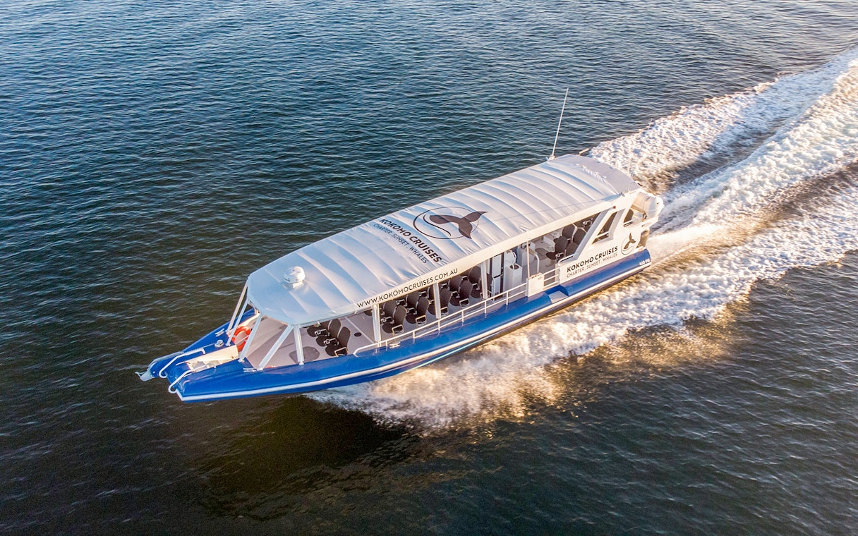 Whale watching boat cruising on Gold Coast waters.