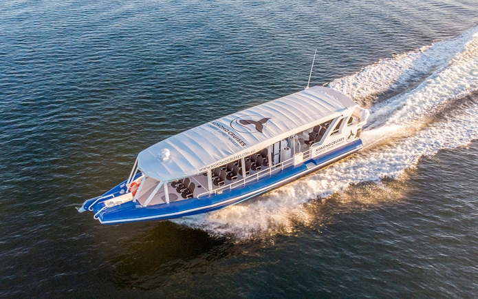 Whale watching boat cruising on Gold Coast waters.