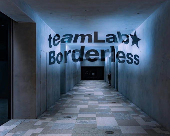 Tokyo: teamLab Borderless Museum Entry, Guided Art Walk, and Tokyo City View Observation Deck Tour
