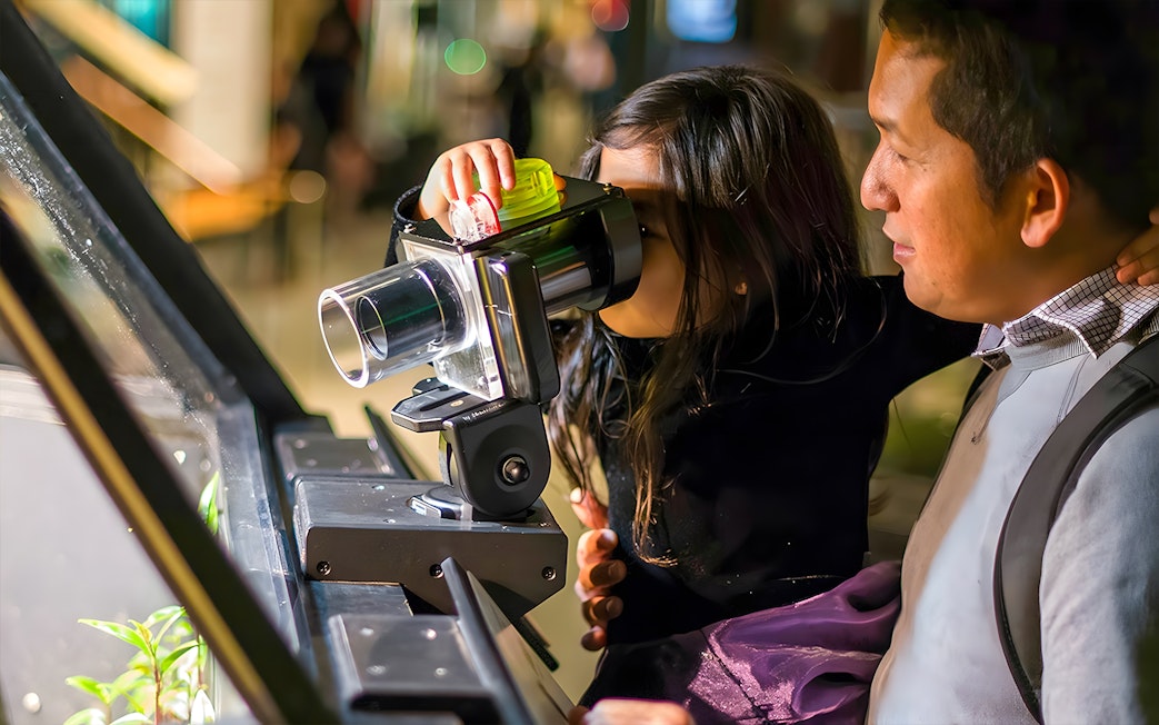 Child exploring exhibit with adult at the Exploratorium, San Francisco.