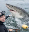 Shark Cage Diving Boat Trip