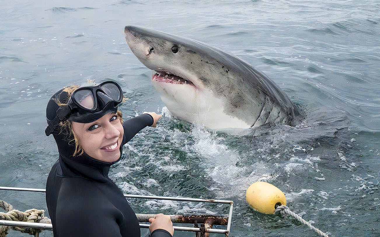 Diver pointing at great white shark during cage diving tour.