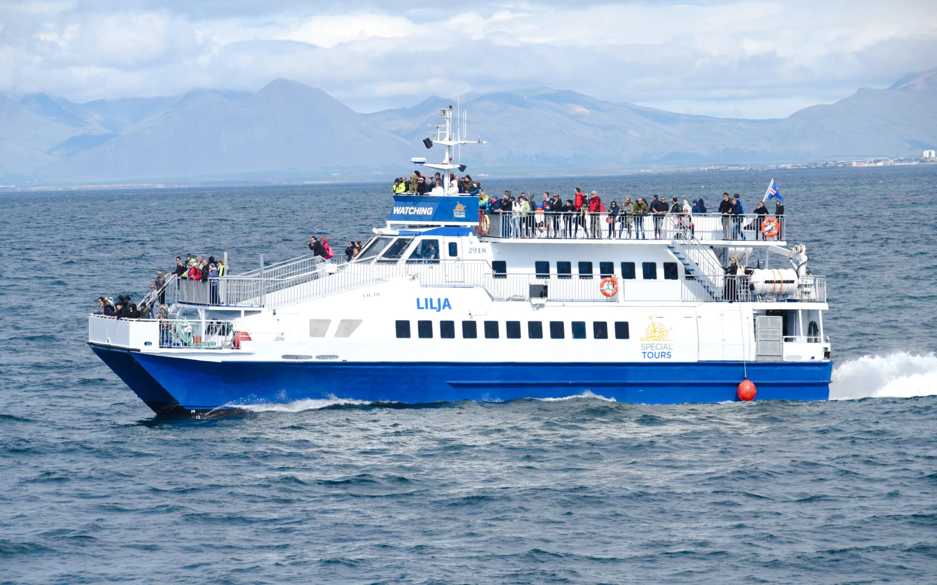 Cruise ship with tourists on deck during whale watching tour in Icelandic waters.