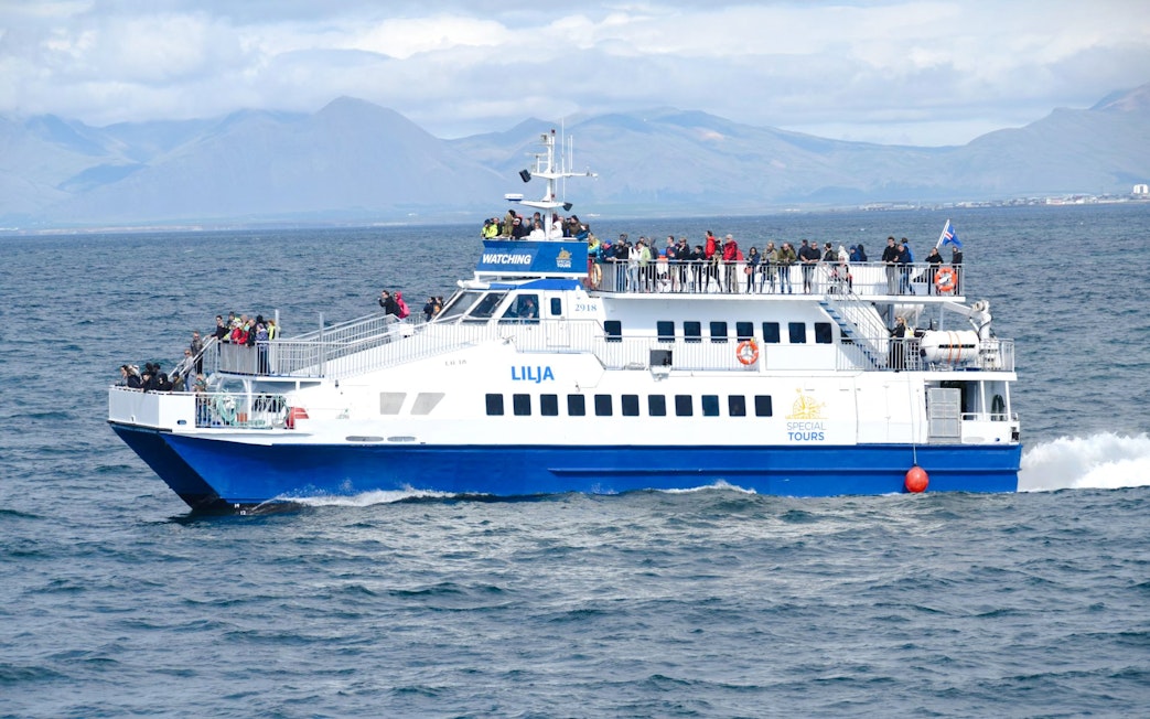 Cruise ship with tourists on deck during whale watching tour in Icelandic waters.