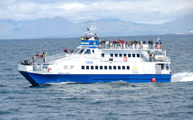 Cruise ship with tourists on deck during whale watching tour in Icelandic waters.