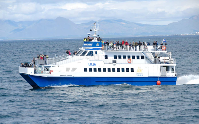 Cruise ship with tourists on deck during whale watching tour in Icelandic waters.