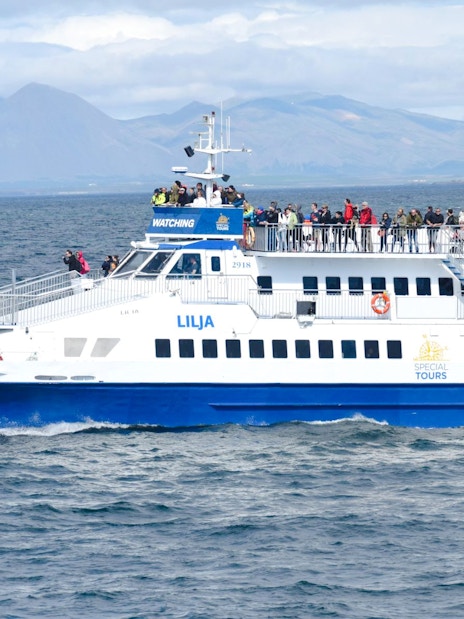 Cruise ship with tourists on deck during whale watching tour in Icelandic waters.