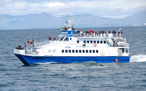 Cruise ship with tourists on deck during whale watching tour in Icelandic waters.