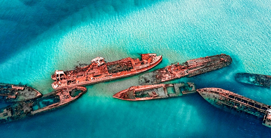 Tour da Brisbane a Moreton Island