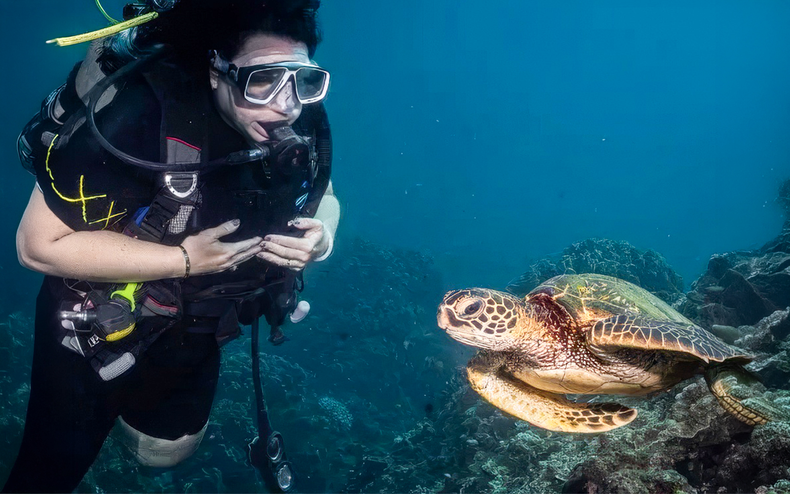 Diver swimming near a sea turtle at Mala Wharf, Maui.