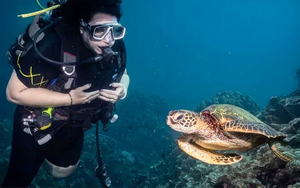 Diver swimming near a sea turtle at Mala Wharf, Maui.