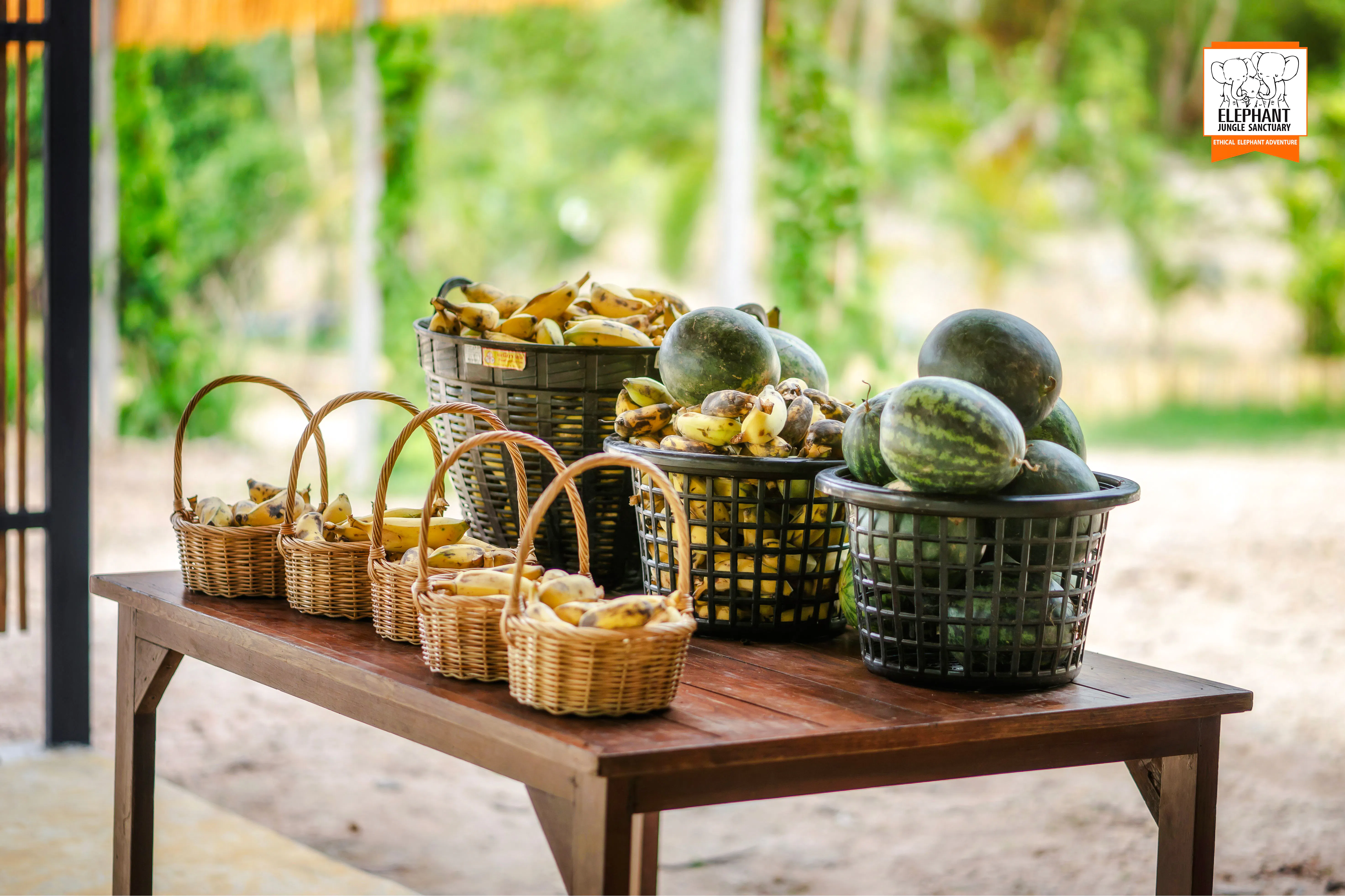 Baskets of bananas and watermelons on a table at Elephant Jungle Cafe, Chiang Mai.