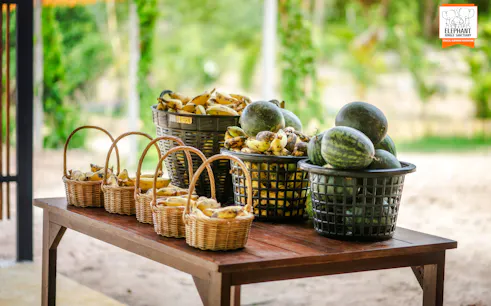 Baskets of bananas and watermelons on a table at Elephant Jungle Cafe, Chiang Mai.