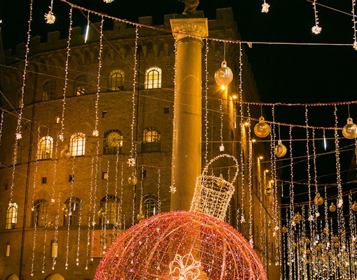 Attend the Festival of Lights